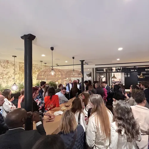 Rencontre avec Camille VANDENDRIESSCHE - Master Juriste d'entreprise